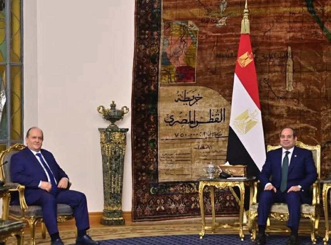 الرئيس السيسى يثمن الدور الإيجابى للجزائر فى مجلس الأمن دفاعاً عن القضايا العربية    