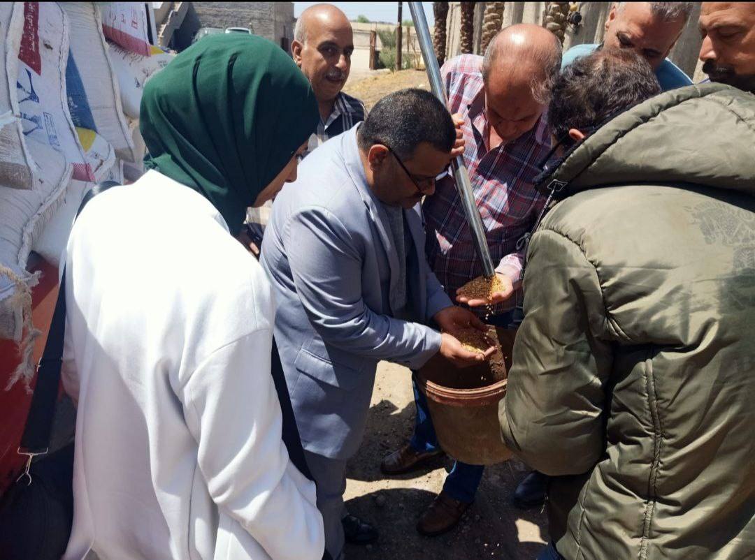 تموين الشرقية :استقبال الصوامع  ل20975 طن من القمح