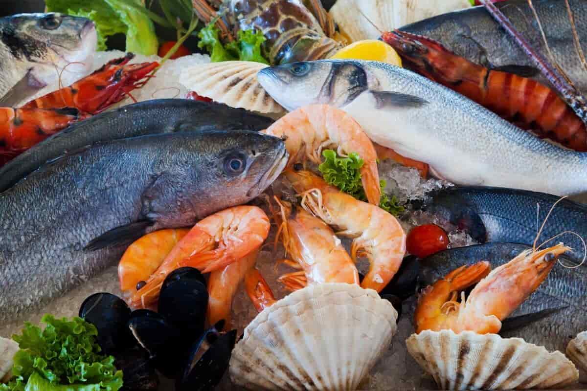 أسعار الأسماك في السوق اليوم السبت 20 أبريل 2024