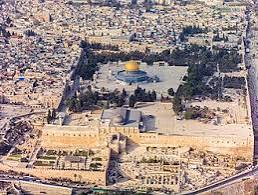 فلسطين .. ارض الفيروز
