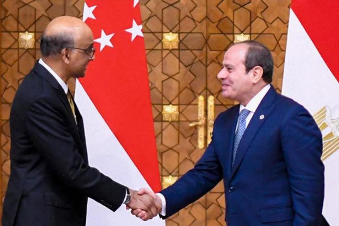 الرئيس السيسى ونظيره السنغافورى يشهدان مراسم التوقيع على 7 مذكرات تفاهم بين البلدين