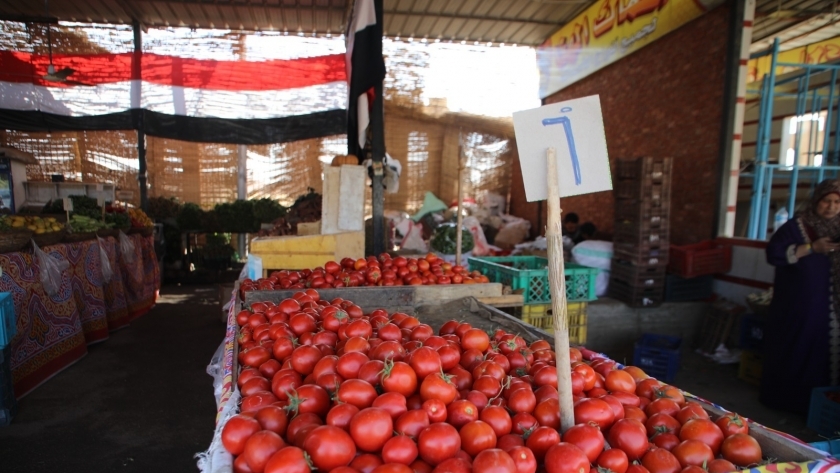 الطماطم بـ6 جنيهات والأرز بـ32.. أسعار السلع في سوق الجملة بـ6 أكتوبر