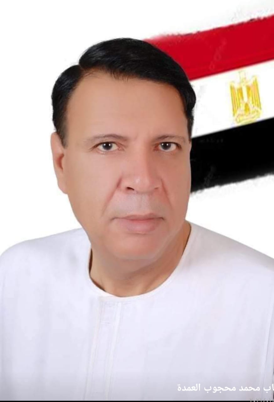 العمده دياب محجوب يهنئي الرئيس السيسي والشعب المصري بمناسبة ذكرى ثورة 30 يونيو