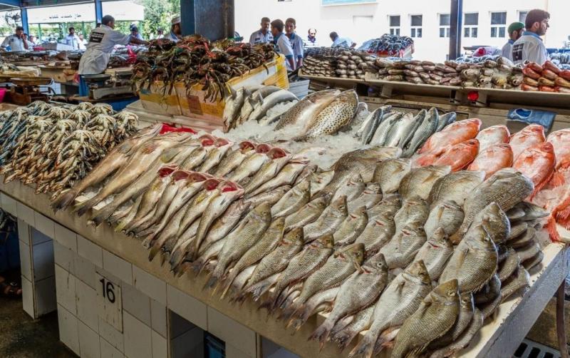 الاثنين 8 يوليو 2024.. نشرة أسعار الأسماك بسوق العبور للجملة
