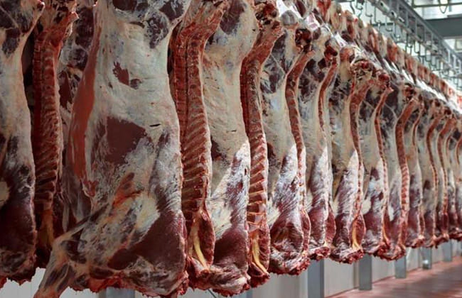 أسعار اللحوم في السوق اليوم الثلاثاء 6 يونيو 2023