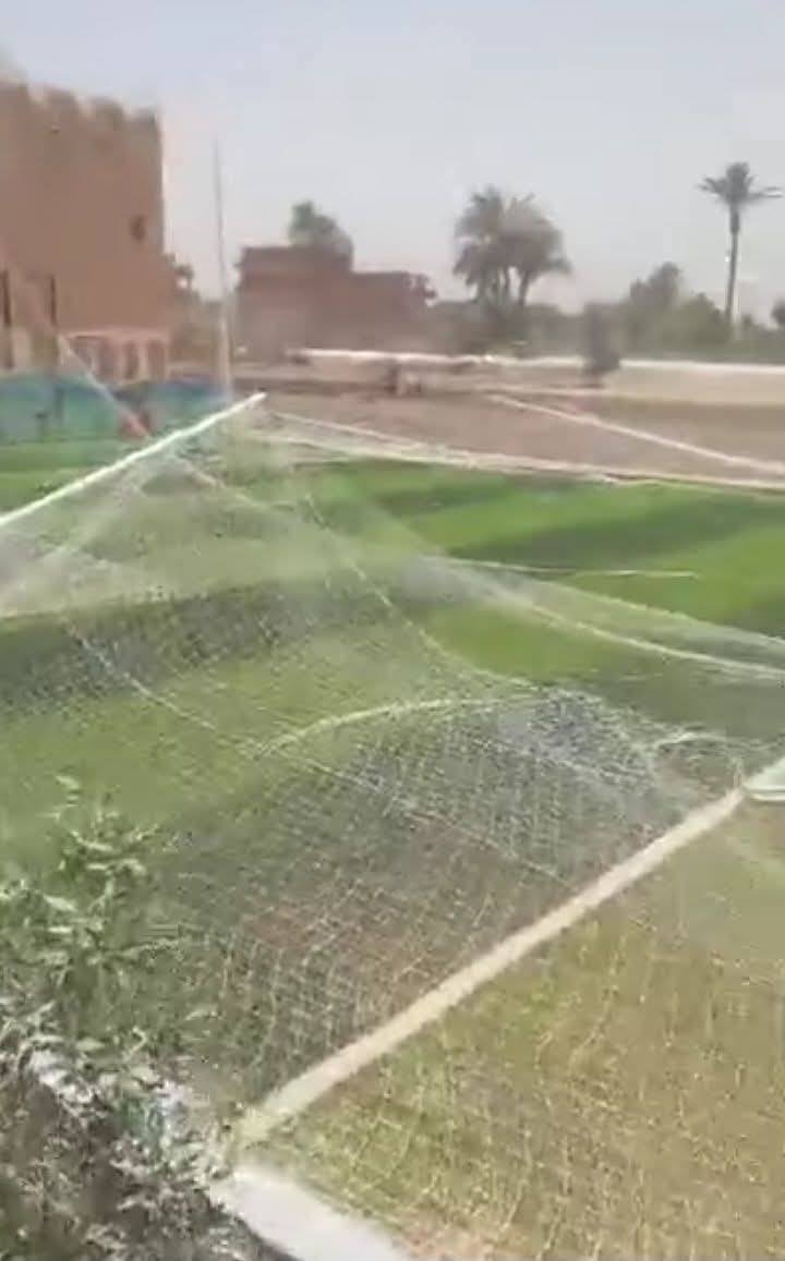 . حلم 
