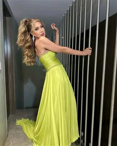 فستان نوال الزغبي على عارضة الأزياء يثير الجدل بالسوشيال ميديا