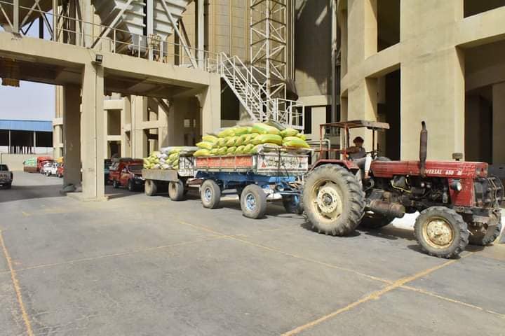 محافظ أسيوط يؤكد انتظام عمليات توريد القمح واستلام 108 ألف و970 طن قمح بالصوامع والشون