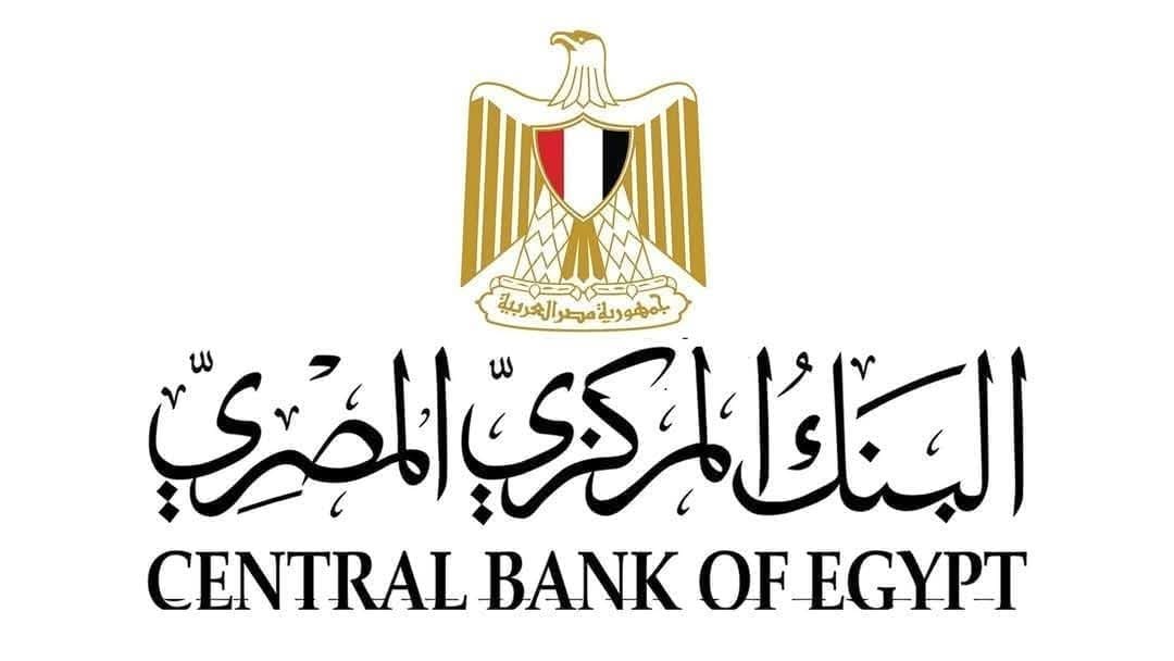 20 مليار دولار حصيلة تحويلات المصريين بالخارج في 7 أشهر