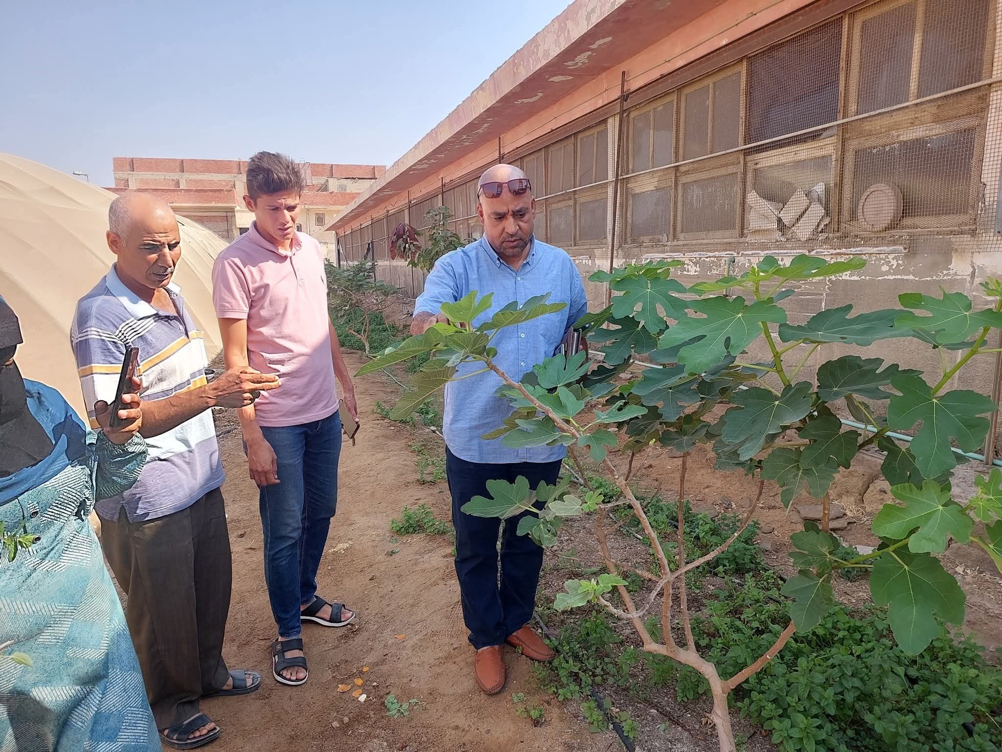 وكيل زراعة جنوب سيناء: من الميدان الإدارة الرشيدة للاصول اساس التنمية   