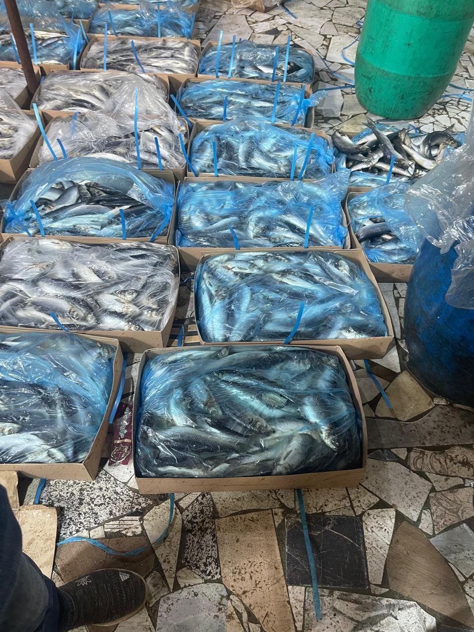 ضبط١٦,35طن لحوم ودواجن وكبده وأسماك مدخنة بالشرقية 