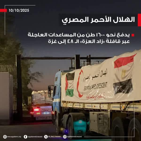 زاد العزة من مصر إلى غزة القافلة الـ48 