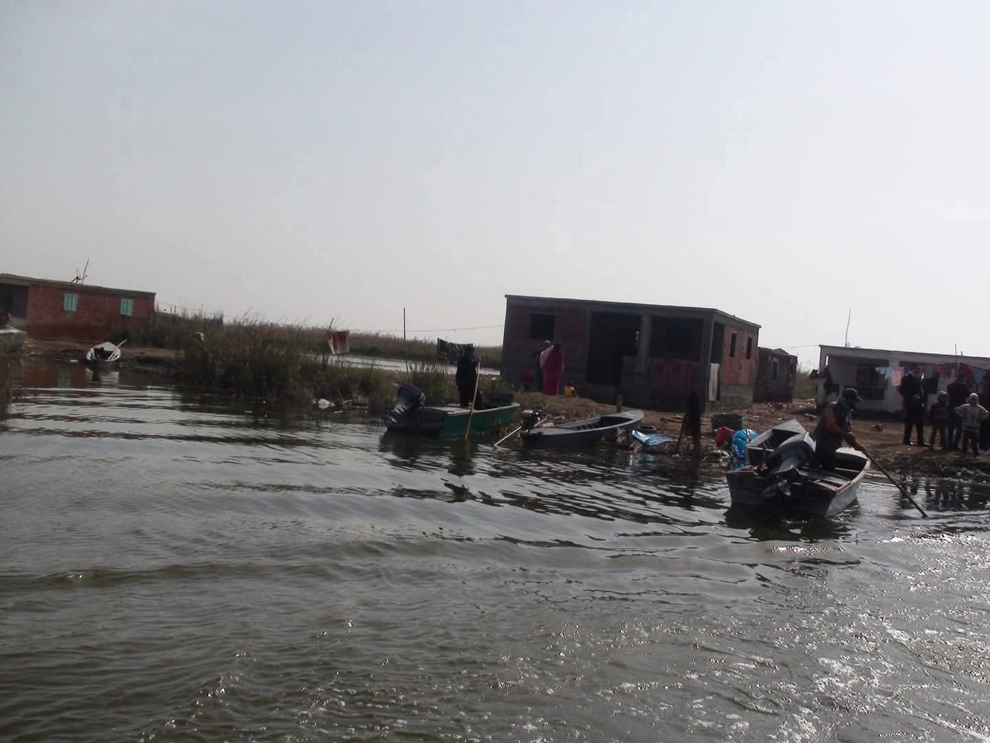 فضيحة رشوة تهز جهاز الثروة السمكية 6 ملايين جنيه تطيح بكبار المسؤولين