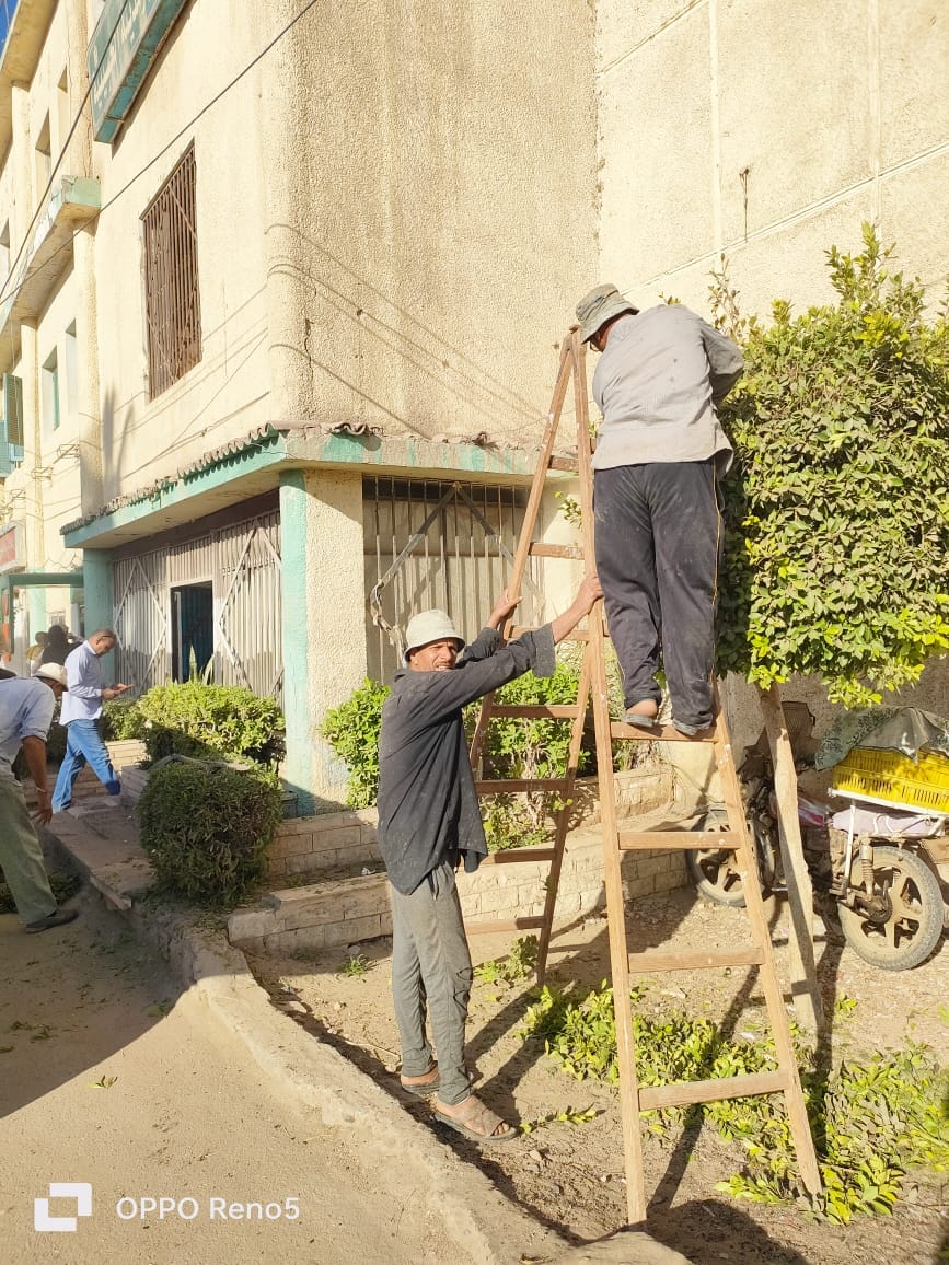 العوضي يوجه بقص وتهذيب الأشجار من بوابة مدخل مدينة الحسينية فى الشرقية 