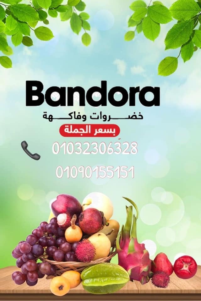 افتتاح سلسة محلات bandora   لبيع الخضار والفاكهة بسعر الجمله للمستهلك 