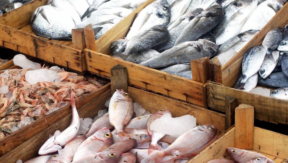 أسعار الأسماك اليوم الإثنين 5 يونيو 2023