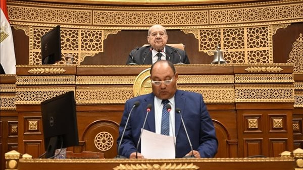 نائب وزير الزراعة: مصر استطاعت تحقيق الاكتفاء الذاتي لكثير من السلع الغذائية الهامة