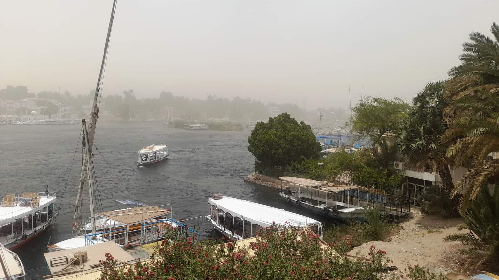 محافظ أسوان يوجه لوقف حركة الملاحة النهرية بمجرى نهر النيل وبحيرة ناصر 