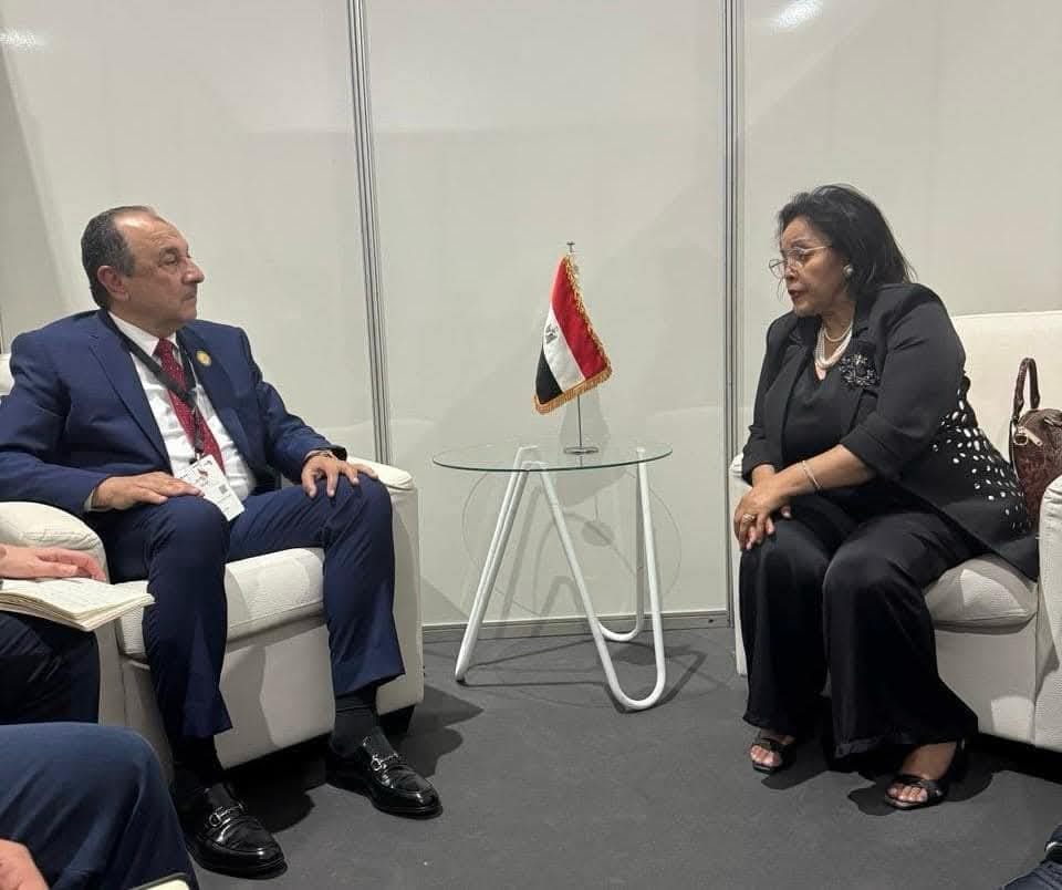 وزير قطاع الأعمال العام يجتمع مع الرئيسة التنفيذية لوكالة تنمية الاتحاد الأفريقي أودا-نيباد