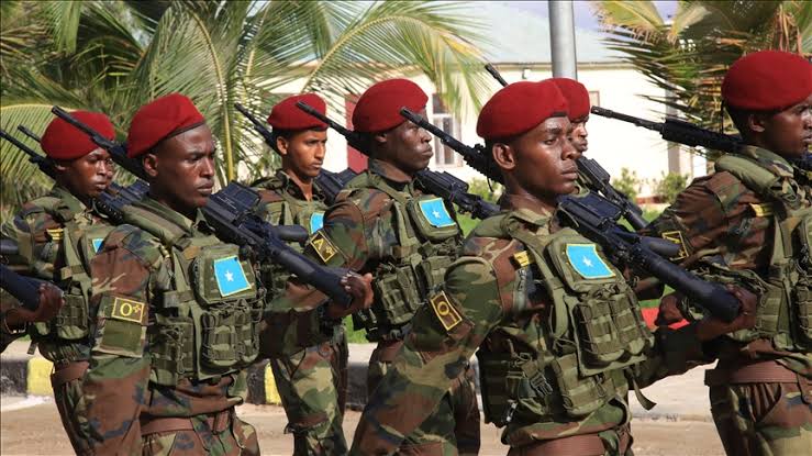 الجيش الصومالي يعلن قتل وجرح 200 من حركة الشباب في جنوب البلاد
