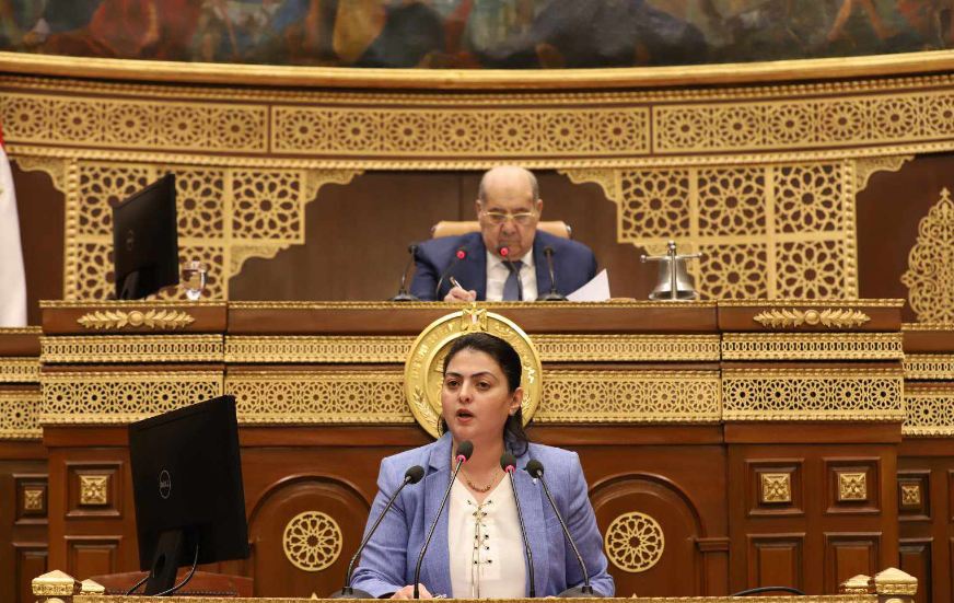 مجلس الشيوخ يحيل خطة التنمية الاقتصادية للجنة الشئون المالية