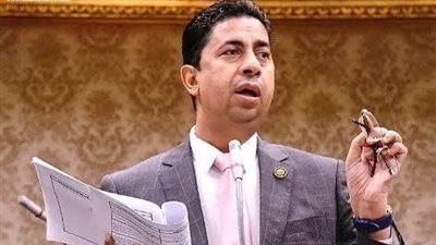 النائب أشرف الشبراوي يطالب بتغيير اسم محافظة الدقهلية إلى المنصورة