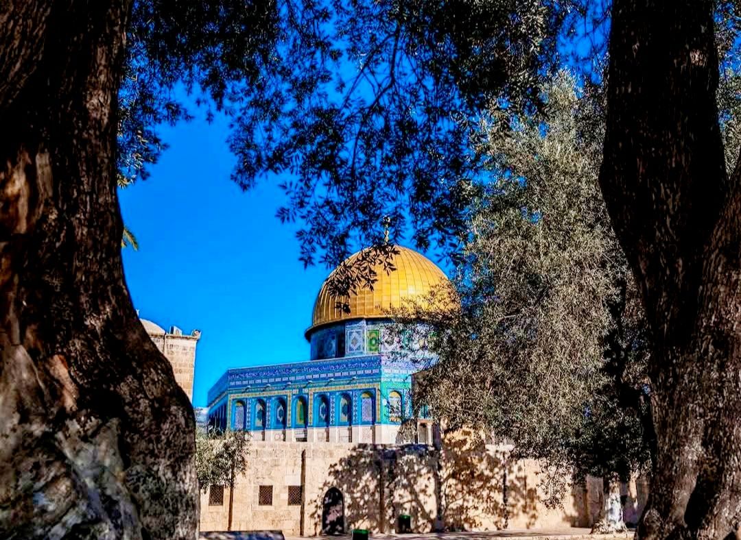 مصر تؤكد حق فلسطين فى إقامة دولتها المستقلة وعاصمتها القدس الشرقية