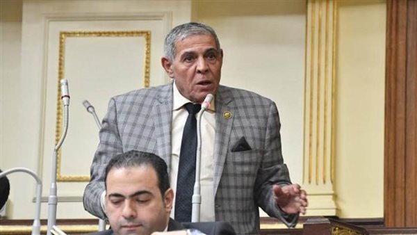 النائب أمين مسعود: تصدير العقارات المصرية الحل لتحسين دخل الدولة من العملة الصعبة