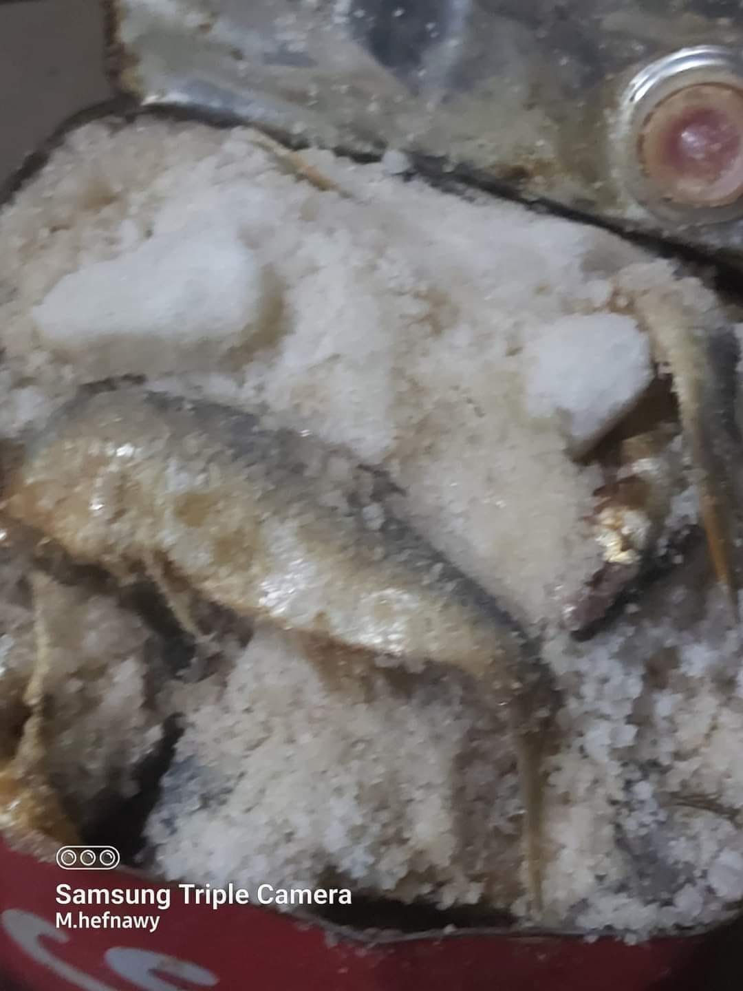 بيطري المنيا يضبط ما يقرب من ٢ طن أسماك مملحة ومدخنة ولحوم غير صالحة للاستهلاك بمراكز المحافظة