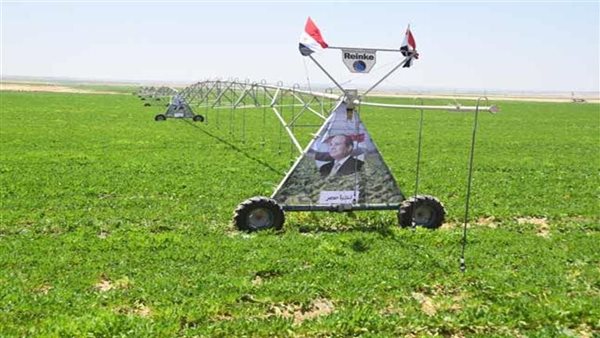 نقيب الزراعيين: الانتهاء من زراعة 2 مليون فدان العام المقبل ضمن مشروع مستقبل مصر