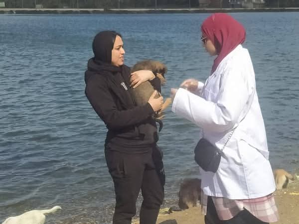 حملة لتحصين الكلاب الضالة ضد السعار والامراض الوبائية 