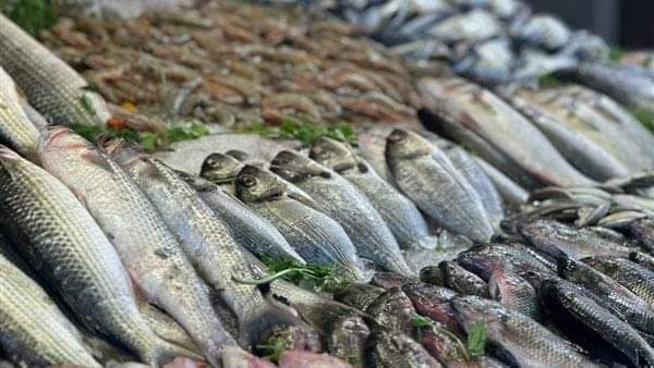 منسق مبادرة المقاطعة: الحملة تشمل الأسماك واللحوم والدواجن بسبب جشع التجار