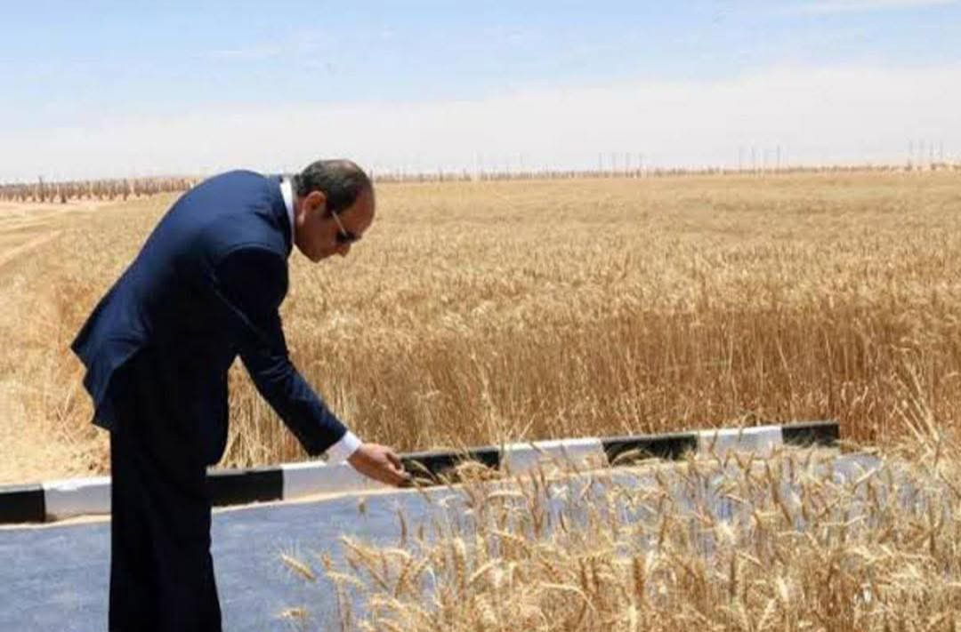 اليوم الرئيس السيسي يشهد موسم حصاد القمح ويتفقد مدينة مستقبل مصر الصناعية