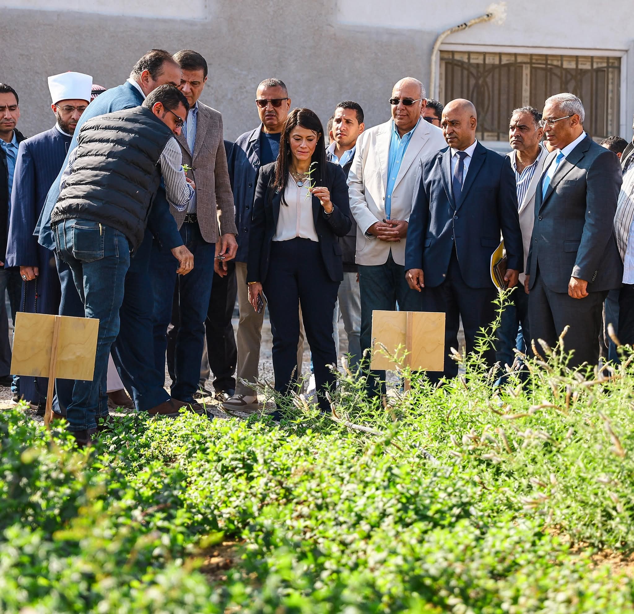 وزارة التخطيط والتنمية الاقتصادية والتعاون الدولى تستعرض تفاصيل الاستثمارات العامة لمحافظة جنوب سيناء