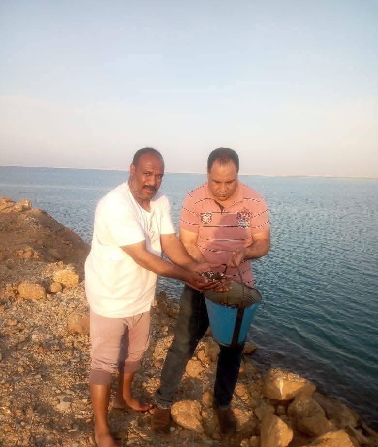 جهاز حماية وتنمية البحيرات يدعم بحيرة باريس بالوادي الجديد بمليون زريعة بلطي نيلي