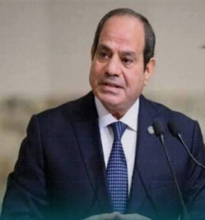 الرئيس السيسى: كنا على حافة الهاوية فى 2011 وسأمنع أى معوقات أمام تحقيق الأفضل   