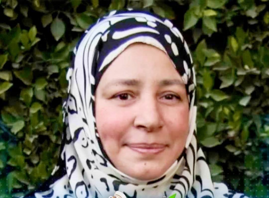 قرار حكومى بعلاج عبلة كامل على نفقة الدولة