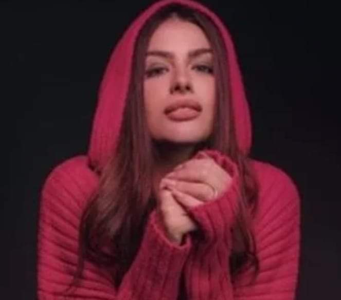 تعرف على شخصية هنادي مهنى  في مسلسل 