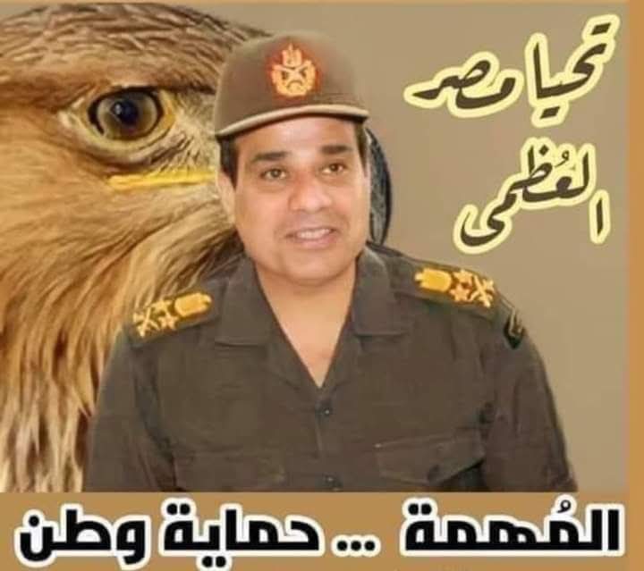 صرخات استغاثة 